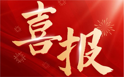 集团荣膺2025中国民营企业500强第249位，制造业民营企业500强第177位，排名较去年双双大幅提升